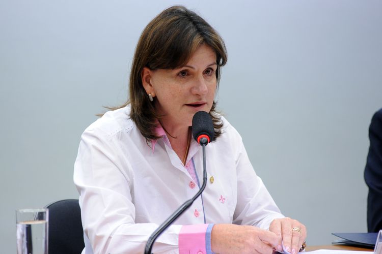 Reunião para apresentação, discussão e votação do parecer da relatora, dep. Carmen Zanotto (PPS-SC)
