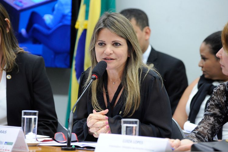 Audiência Pública sobre a situação de violência contra mulheres brasileiras no exterior. Dep. Flávia Morais (PDT - GO)