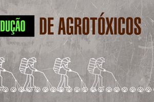 Capa - Agrotóxicos ou Pesticidas?