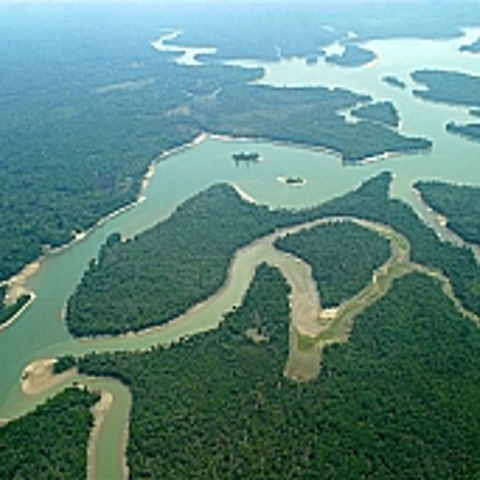 Meio Ambiente - Amazônia - Floresta Amazônica