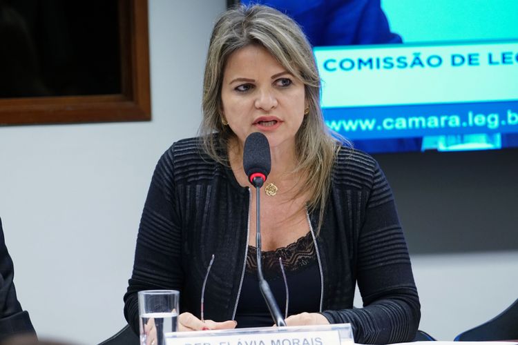 Audiência pública para debate sobre o Fortalecimento dos Conselhos Tutelares através da Legislação. Dep. Flávia Morais (PDT - GO)