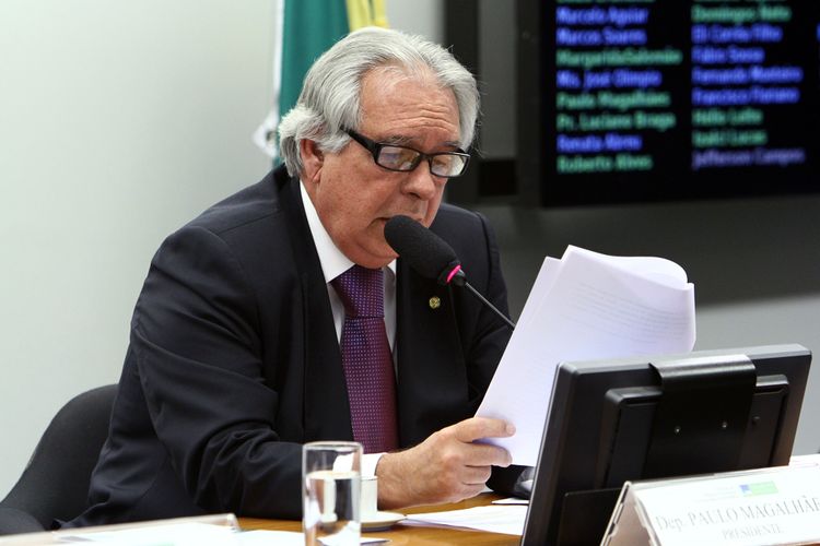 Audiência Pública e Reunião Extraordinária. Dep. Paulo Magalhães ( PSD - BA)