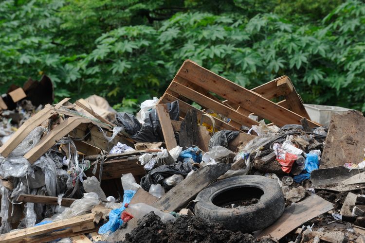 Meio Ambiente - Lixo e Reciclagem - lixão resíduos sólidos