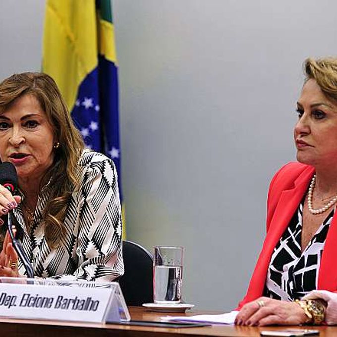Reunião para eleição da Coordenadora-Geral dos Direitos da Mulher na Câmara. Coordenadora eleita, (E) dep. Dâmina Pereira (PMN-MG)