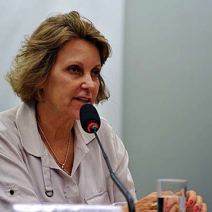Audiência pública para discutir os preços das passagens aéreas no Brasil. Coordenadora Institucional da Associação Brasileira de Defesa do Consumidor ( PROTESTE), Maria Inês Dolci