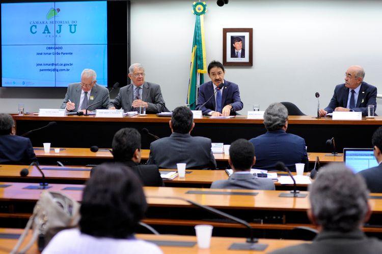 Audiência pública sobre as questões relativas à produção brasileira do Caju