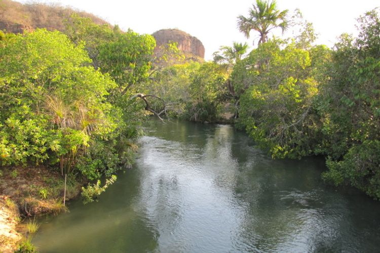 Meio Ambiente parques florestas Parque nascente rio parnaíba