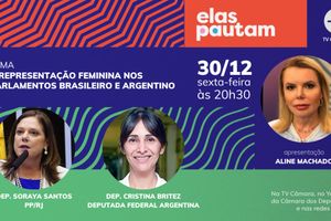 Capa - A representação feminina nos parlamentos brasileiros e argentinos