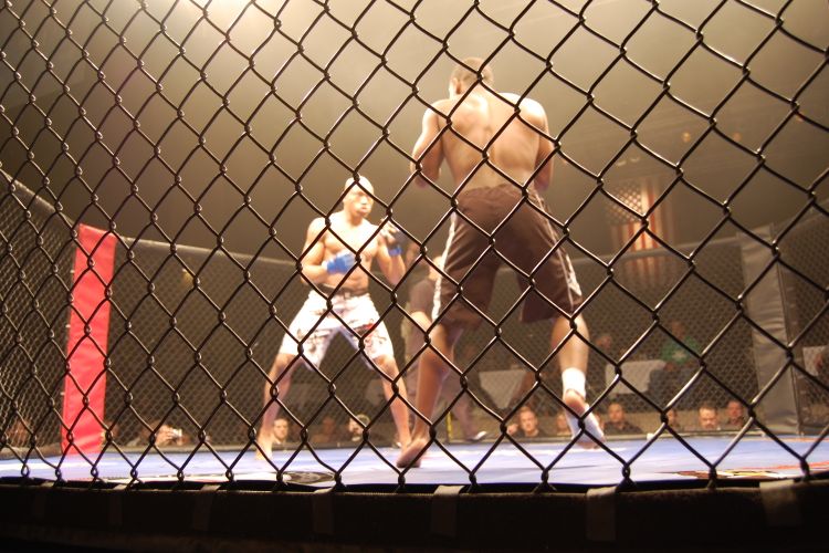 Esporte - geral - lutas MMA artes marciais mistas ringue octógono lutadores