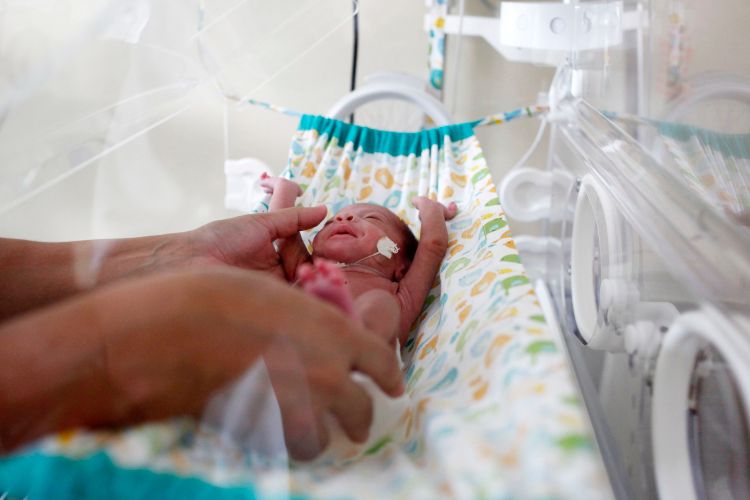 Saúde - geral - bebês prematuros UTI neonatal nascimento hospital parto recém-nascidos