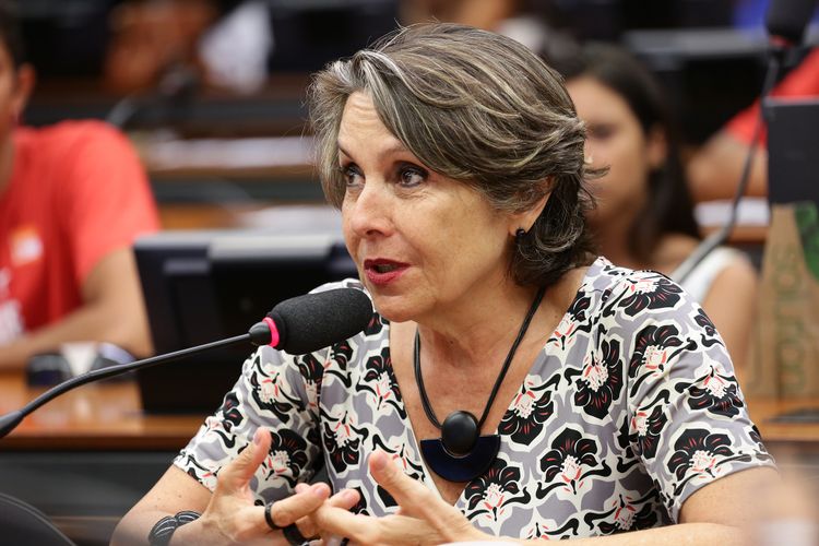 Audiência pública sobre direitos humanos de populações em terrenos ocupados no estado de Minas Gerais. Dep. Erika Kokay (PT-DF)
