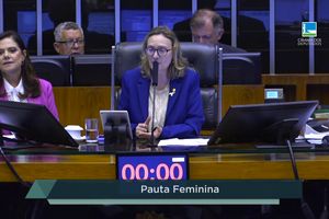 Câmara aprova medidas de combate à violência contra as mulheres - 08/12/23