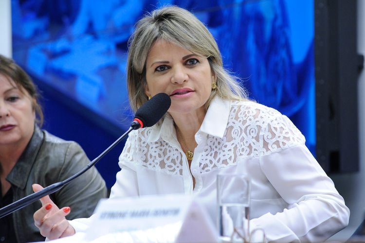 Audiência pública sobre o o PL 2029/15, que institui a Política Nacional do Cuidado. Dep. Flavia Morais (PDT-GO)