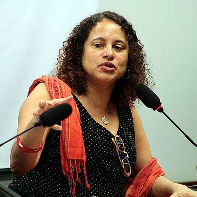 Audiência pública sobre o combate ao Trabalho Infantil no Brasil e os desafios para sua erradicação. Dep. Luciana Santos (PCdoB-PE)