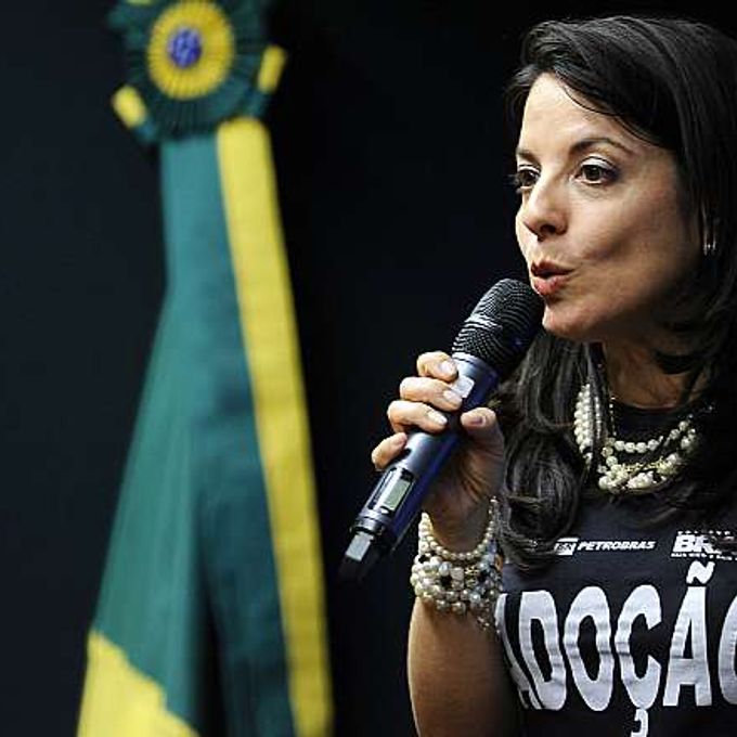 Audiência Pública para discutir o sistema de adoção no Brasil. Bárbara T. A. Silva
