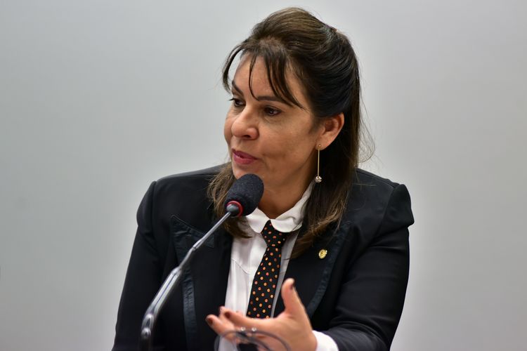 Audiência Pública e Reunião Ordinária. Dep. Raquel Muniz (PSD - MG)