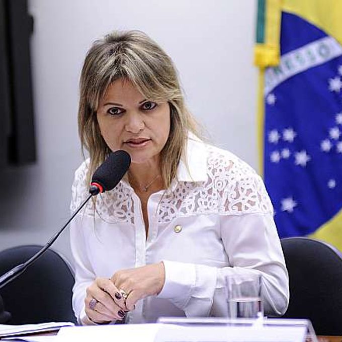 Audiência pública sobre o parto no Brasil com ênfase ao parto normal no âmbito do SUS. Dep. Flávia Moraes (PDT-GO)
