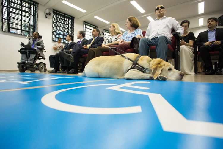 Direitos Humanos - deficiente - cegos cadeirantes deficiências cão-guia (Centro de Tecnologia e Inclusão no Parque Estadual das Fontes do Ipiranga, São Paulo-SP)