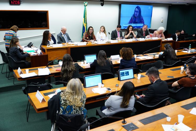 Audiência pública para debater acerca do enfrentamento à violência obstétrica no Brasil