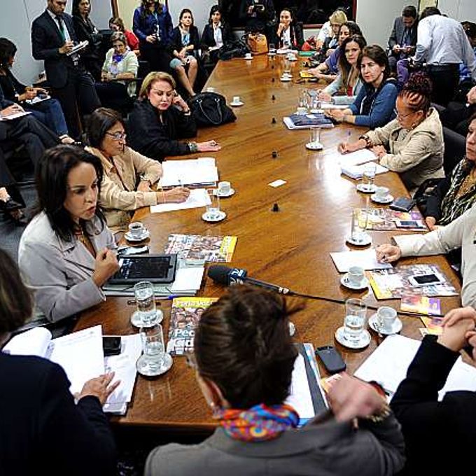Reunião para discutir a Reforma Política e apresentar a representante da ONU Mulheres no Brasil