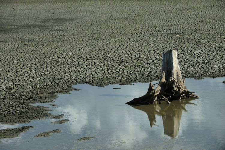 Meio Ambiente - Seca - crise hídrica falta de água