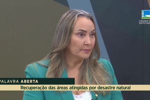 Capa - Daniela Reinehr comenta recuperação de áreas atingidas por desastre natural
