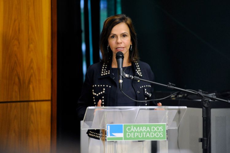 Encontro “O Trabalho da ONU Mulheres – diálogo e cooperação com parlamentares brasileiras”. Dep. Professora Dorinha Seabra Rezende ( DEM - TO).