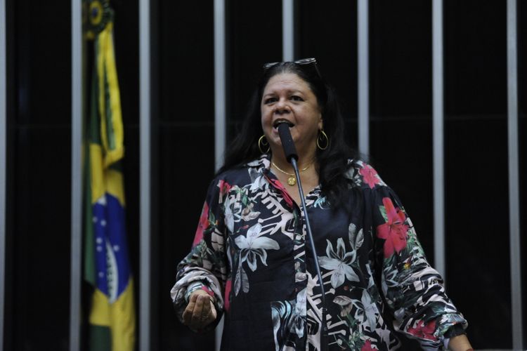 Sessão Extraordinária da Câmara dos Deputados - Deputada Laura Carneiro - PMDB-RJ