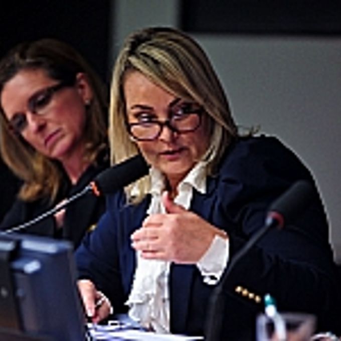 Audiência Pública. Relatora da CPI, dep. Liliam Sá (PSD-RJ)