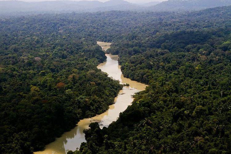 Meio Ambiente - Floresta - Amazônia - Vista aérea do Parque Nacional do Jamanxim, no Pará
