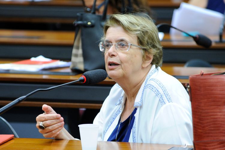 Audiência pública sobre a proposta de Lei de Responsabilidade Educacional constante do parecer do relator. Dep. Margarida Salomão (PT-MG)
