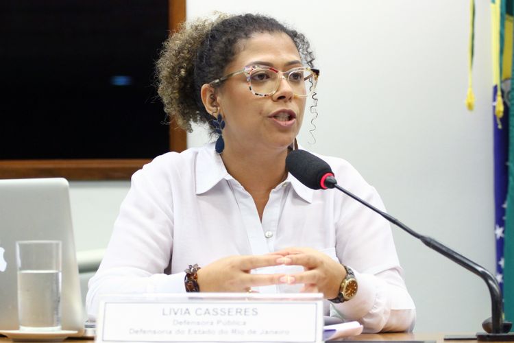 Audiência pública e reunião ordinária. Defensora Pública do Estado do Rio de Janeiro, LIVIA CASSERES