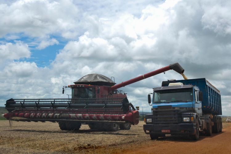Agropecuária - plantações - colheitas grãos exportação transporte produção agrícola caminhões commodities