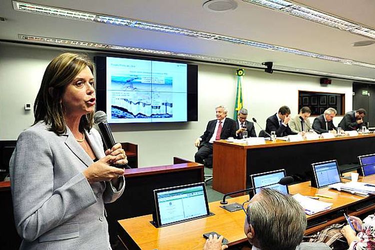 Audiência pública sobre o regime de partilha da Petrobras. Representante da Petrobras, Analise Quintão Lara