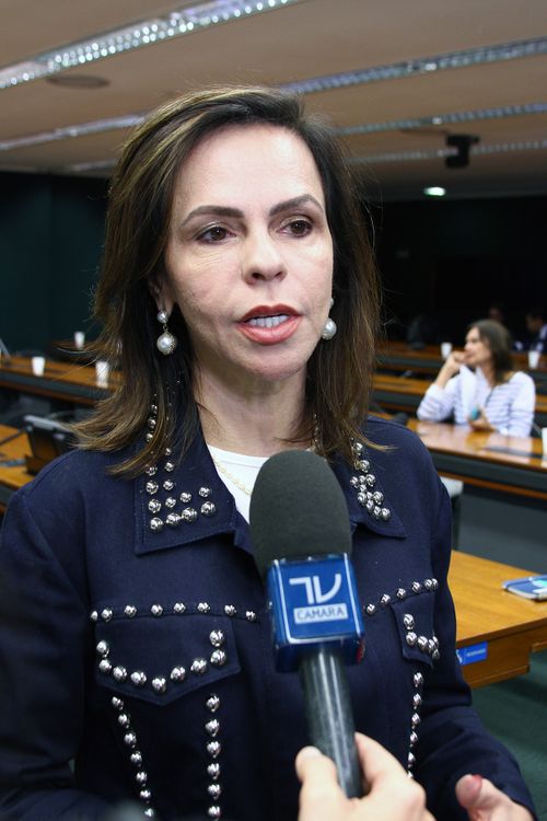 Dep. Professora Dorinha Seabra Rezende (DEM - TO) concede entrevista