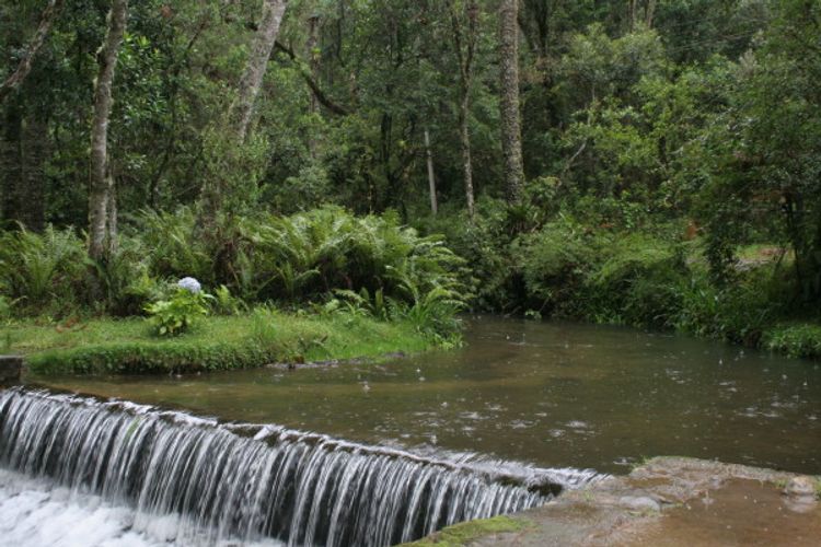 Meio Ambiente - parques e florestas - Serra da Mantiqueira águas rios preservação