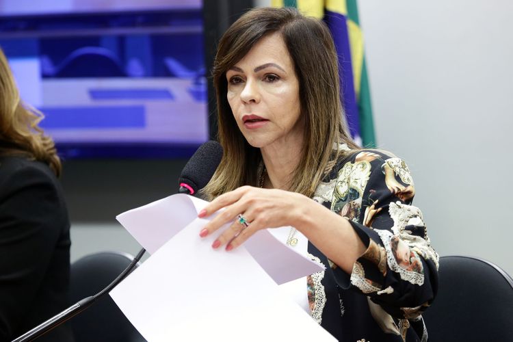 Audiência pública e reunião ordinária. Dep. Professora Dorinha Seabra Resende (DEM - TO)