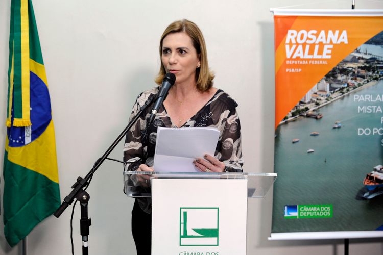 Lançamento da Frente Parlamentar Mista, para o Futuro do Porto de Santos. Dep. Rosana Valle(PSB - SP)