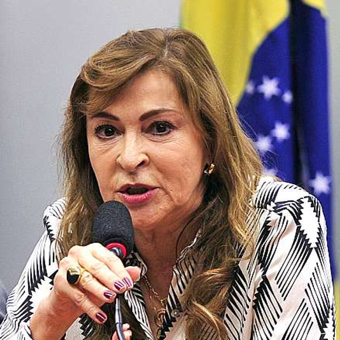 Deputada Dâmina Pereira01
