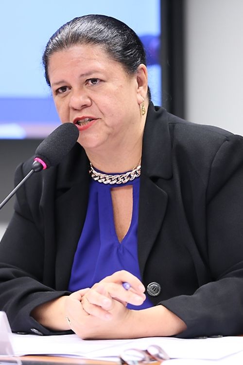 Audiência Pública da Comissão de Defesa dos Direitos da Pessoa Idosa - Dep. Laura Carneiro