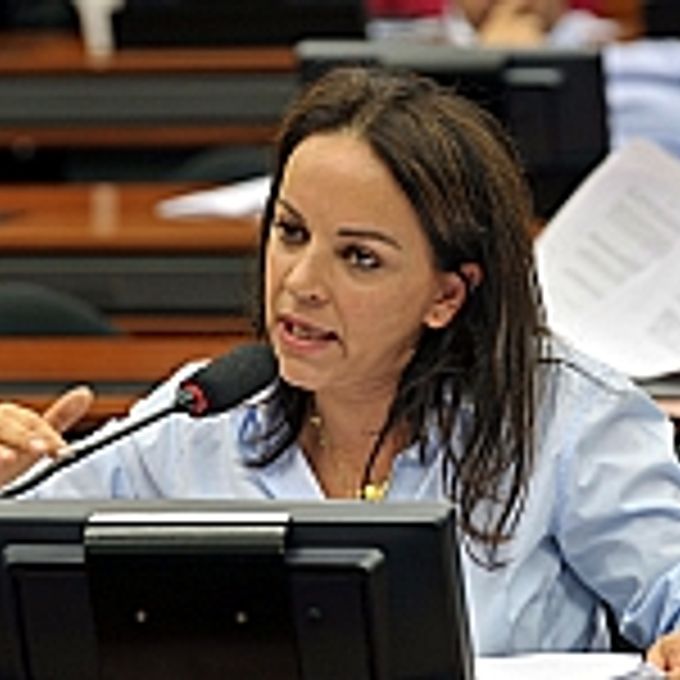 Discussão dos anteprojetos que alteram a legislação eleitoral. Dep. Rosane Ferreira (PV-PR)