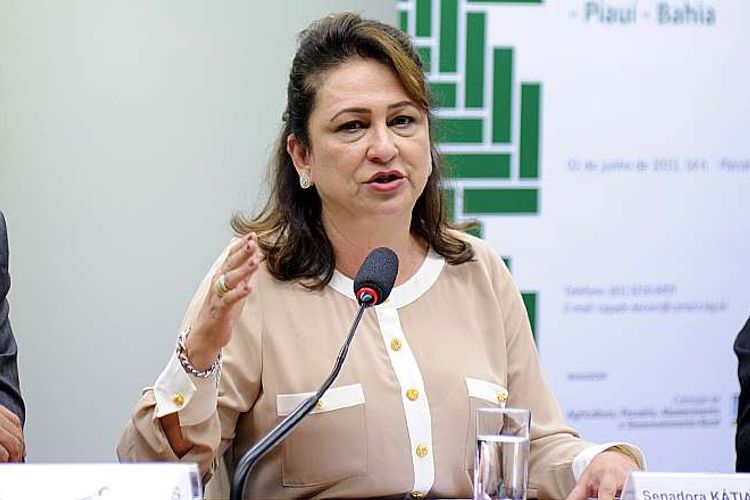 Audiência pública sobre a implementação de políticas para o desenvolvimento econômico da Região do MATOPIBA. Ministra da Agricultura, Kátia Abreu