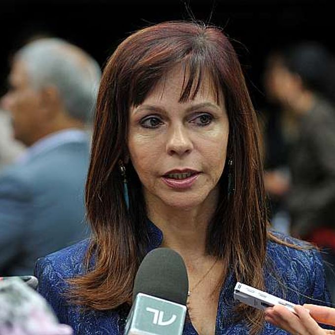 Dep. prof. Dorinha Seabra Rezende (DEM-TO) concede entrevista