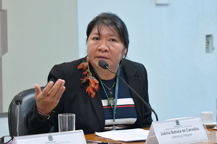 Primeira deputada indígena, Joenia Wapixana, durante audiência pública no Senado