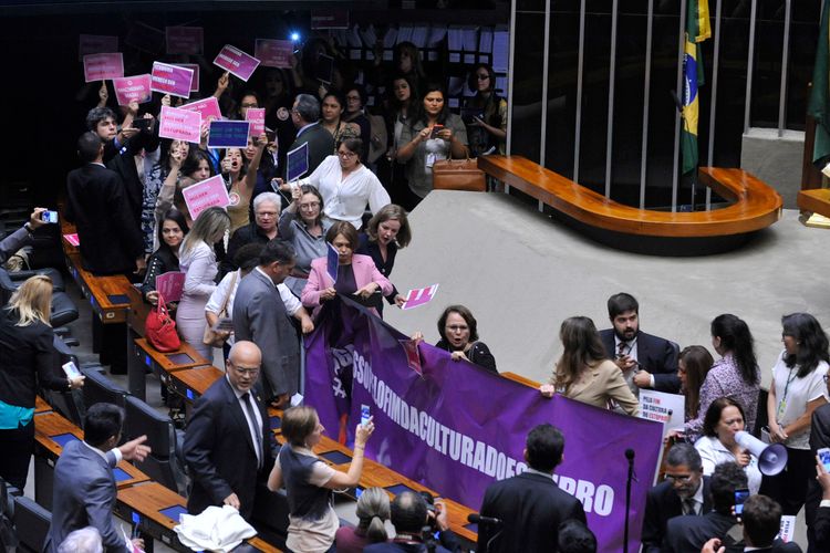 Deputadas e Senadoras invadem o plenário para protestar pelo fim da Cultura do estupro