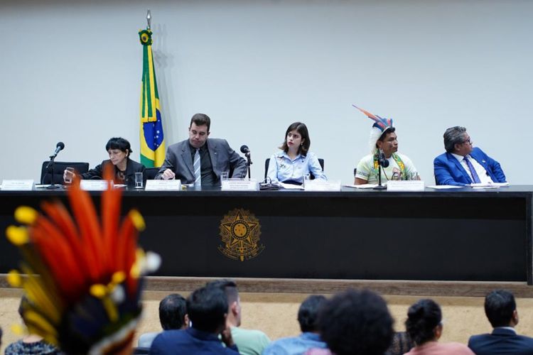 Reunião ordinária e Audiência Pública sobre a situação da Educação Escolar Indígena no Brasil e sua Necessária e Urgente Valorização