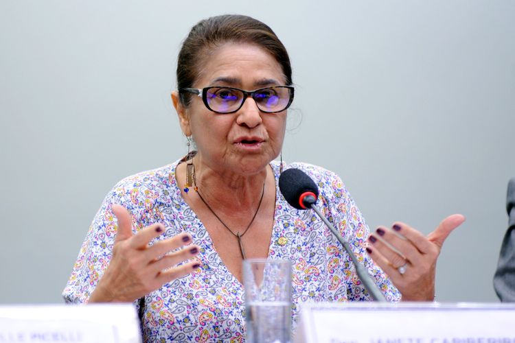 Audiência pública sobre os impactos sociais da transferência de terras da União para o Amapá. Dep. Janete Capiberibe (PSB-AP)