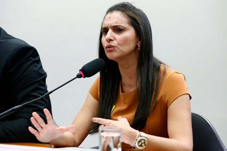 Audiência pública sobre a discussão de medidas que visem a restruturação e modernização do Sistema Penitenciário Brasileiro. Coordenadora do DMF/CNJ, Fátima Alves