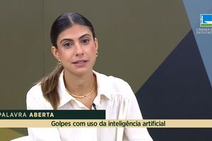 Capa - Camila Jara quer coibir crimes relacionados à venda de produtos na Internet