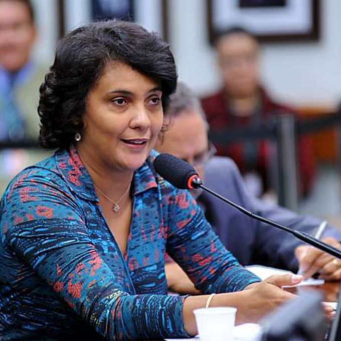 Audiência Pública e Reunião Ordinária. Dep. Andreia Zito (PSDB-RJ)